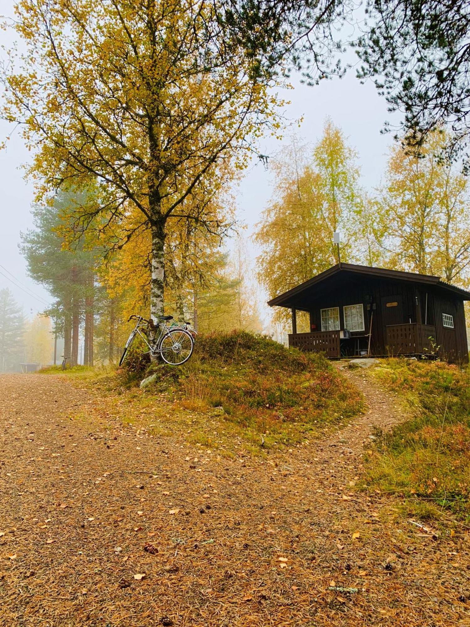 Saeterasen Hytter & Camping Trysil Dış mekan fotoğraf