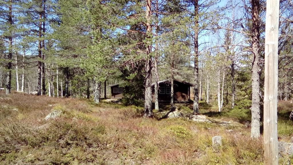 Saeterasen Hytter & Camping Trysil Dış mekan fotoğraf