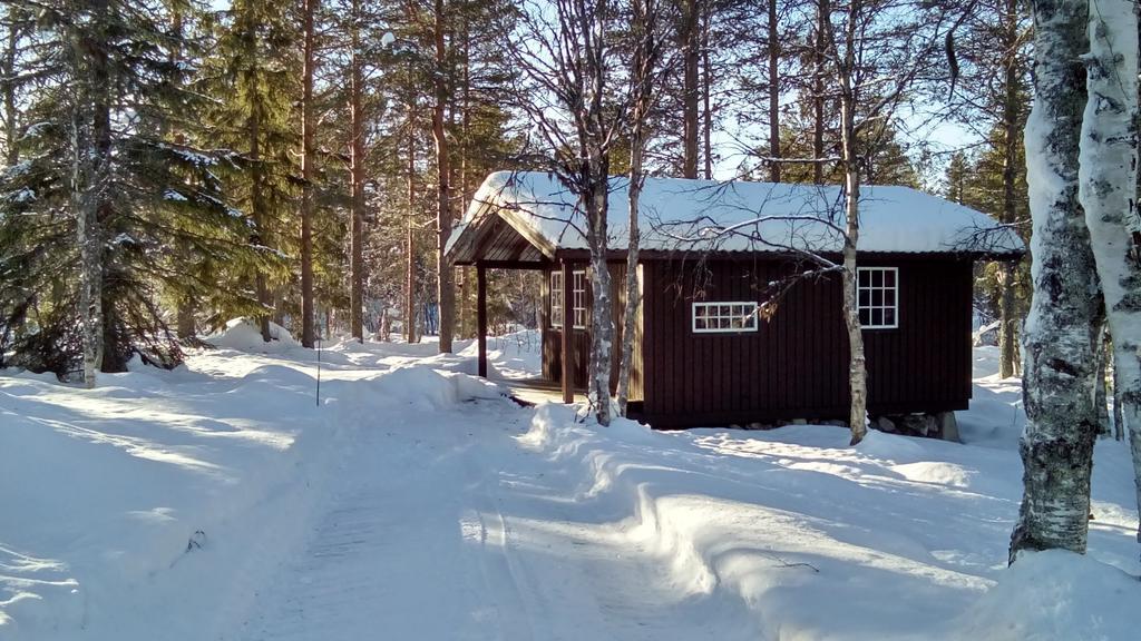 Saeterasen Hytter & Camping Trysil Dış mekan fotoğraf