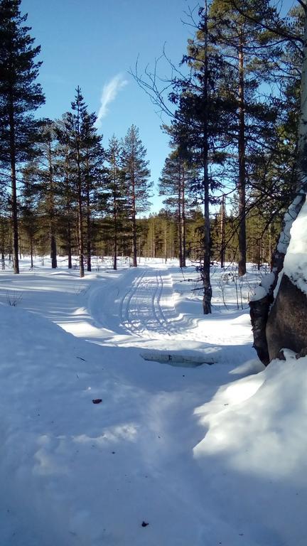 Saeterasen Hytter & Camping Trysil Dış mekan fotoğraf