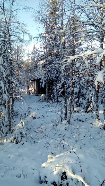 Saeterasen Hytter & Camping Trysil Dış mekan fotoğraf